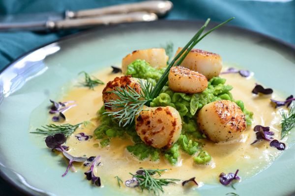 coquille Saint-Jacques bretonne