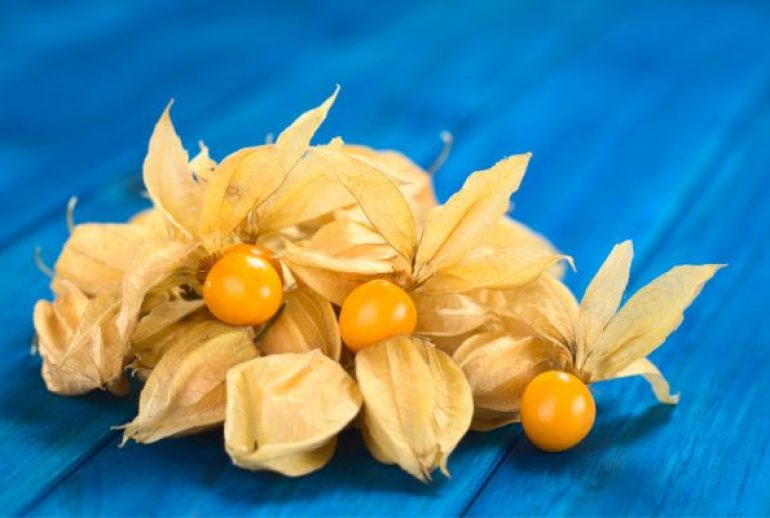 fruit en u